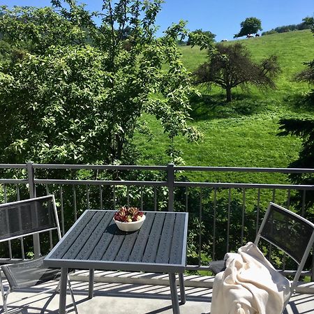 Weinheim Apartments Bagian luar foto