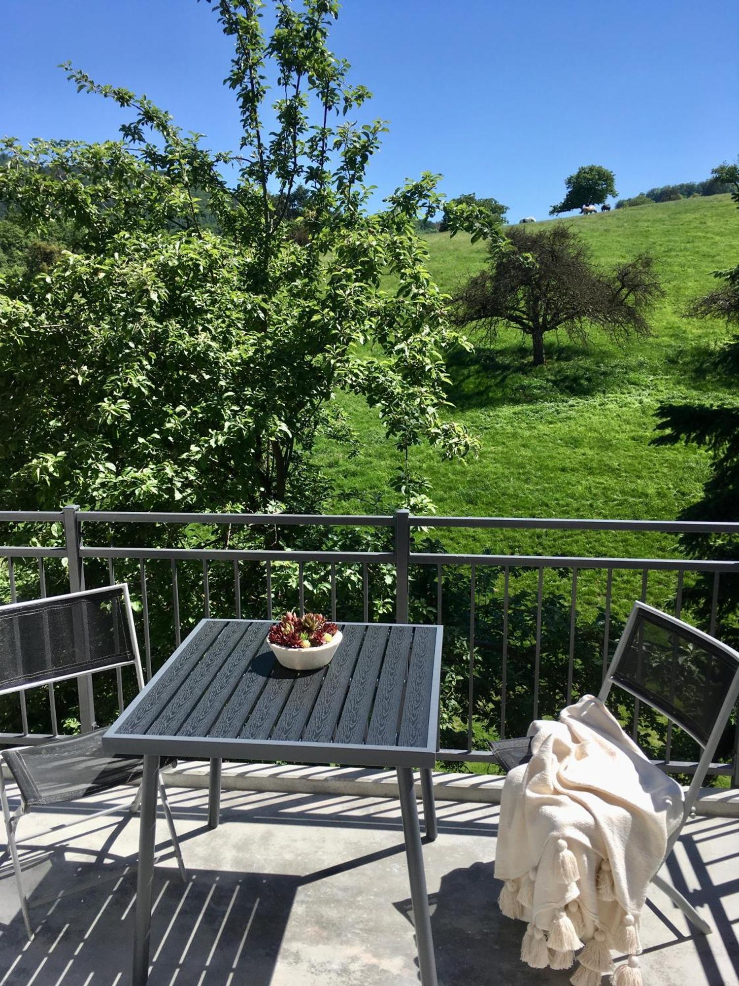 Weinheim Apartments Bagian luar foto
